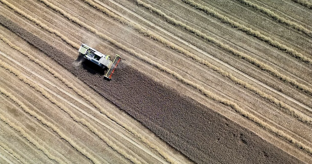 Studie: Landwirtschaft könnte Treibhausgase stark reduzieren