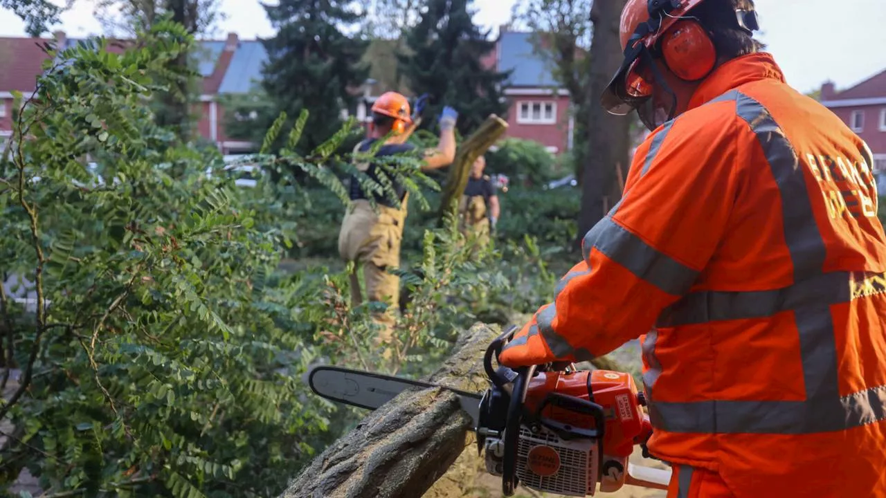 112-nieuws: ernstige botsing in Oss • omgevallen boom zorgt voor problemen