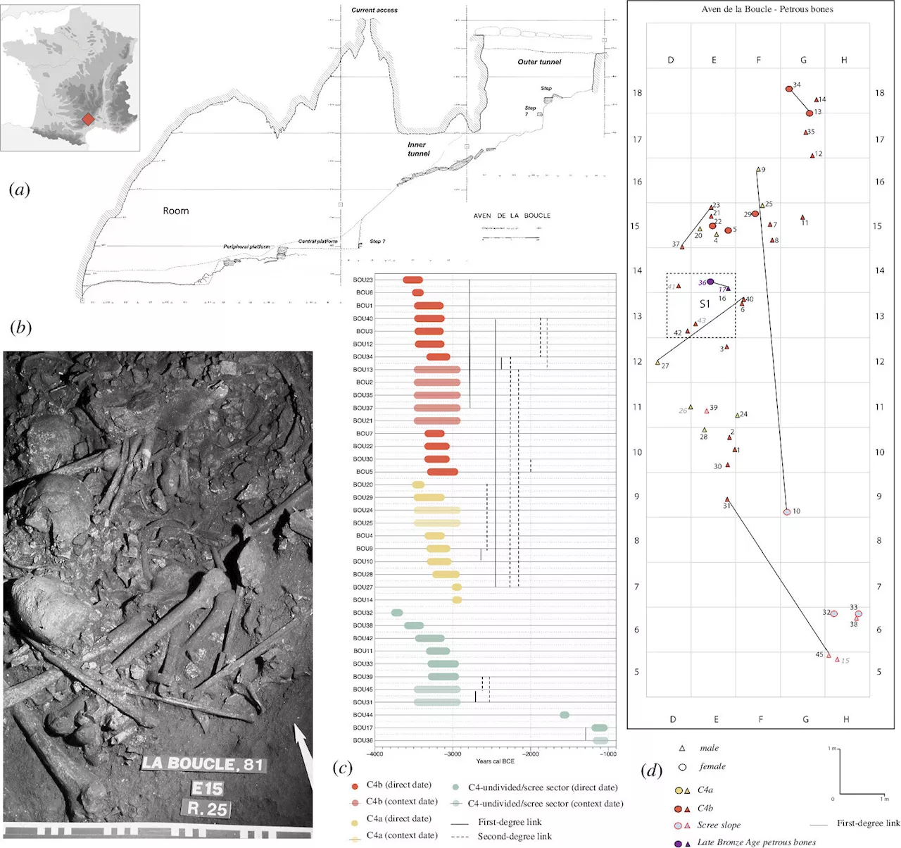 Stone Age mass grave contains mostly adult males who were related