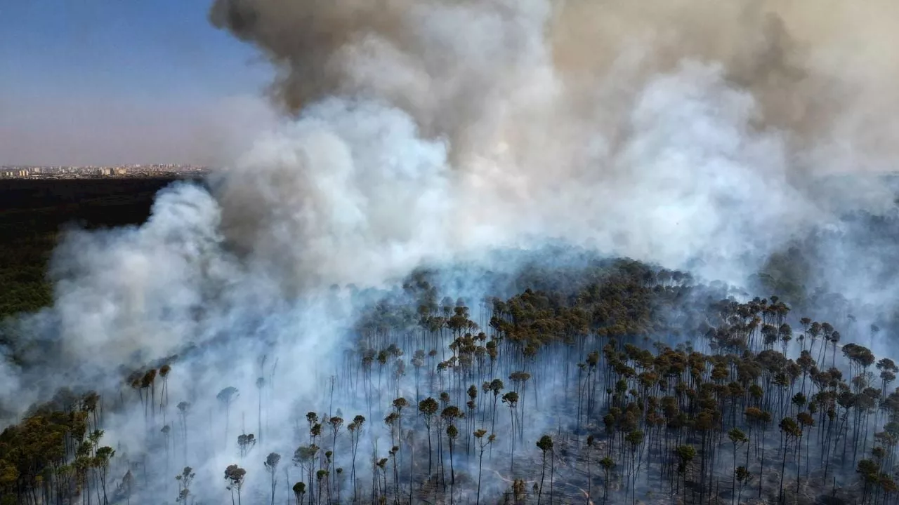 Brasil atraviesa su peor sequía con incendios forestales y el Amazonas en un mínimo histórico