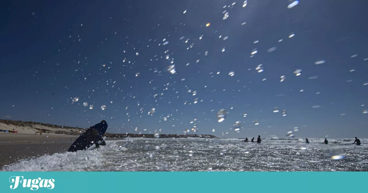 Festival na Figueira da Foz faz ondas com surf, música e outras artes