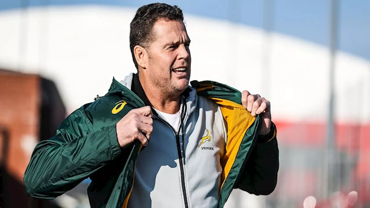 Rassie opts to rest seven players for Argentina leg - SABC News - Breaking news, special reports, world,