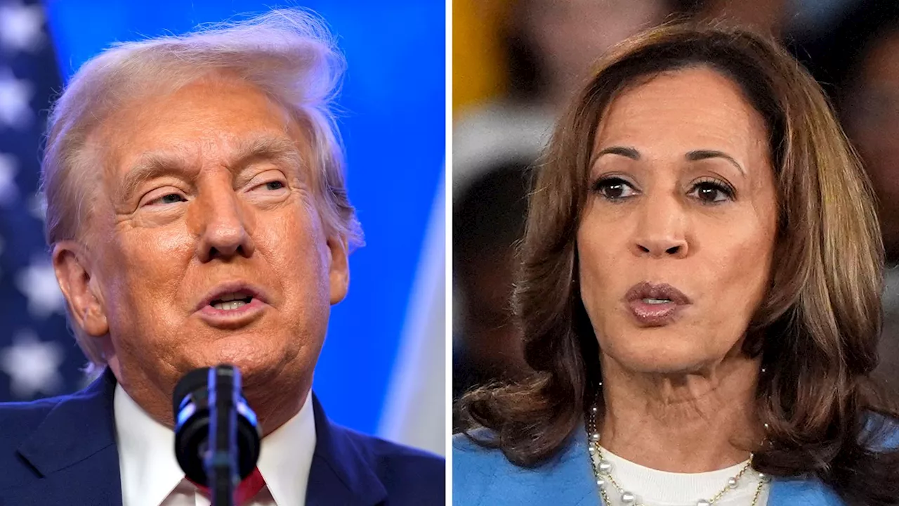 Five things to look out for in Kamala Harris and Donald Trump's debate tonight