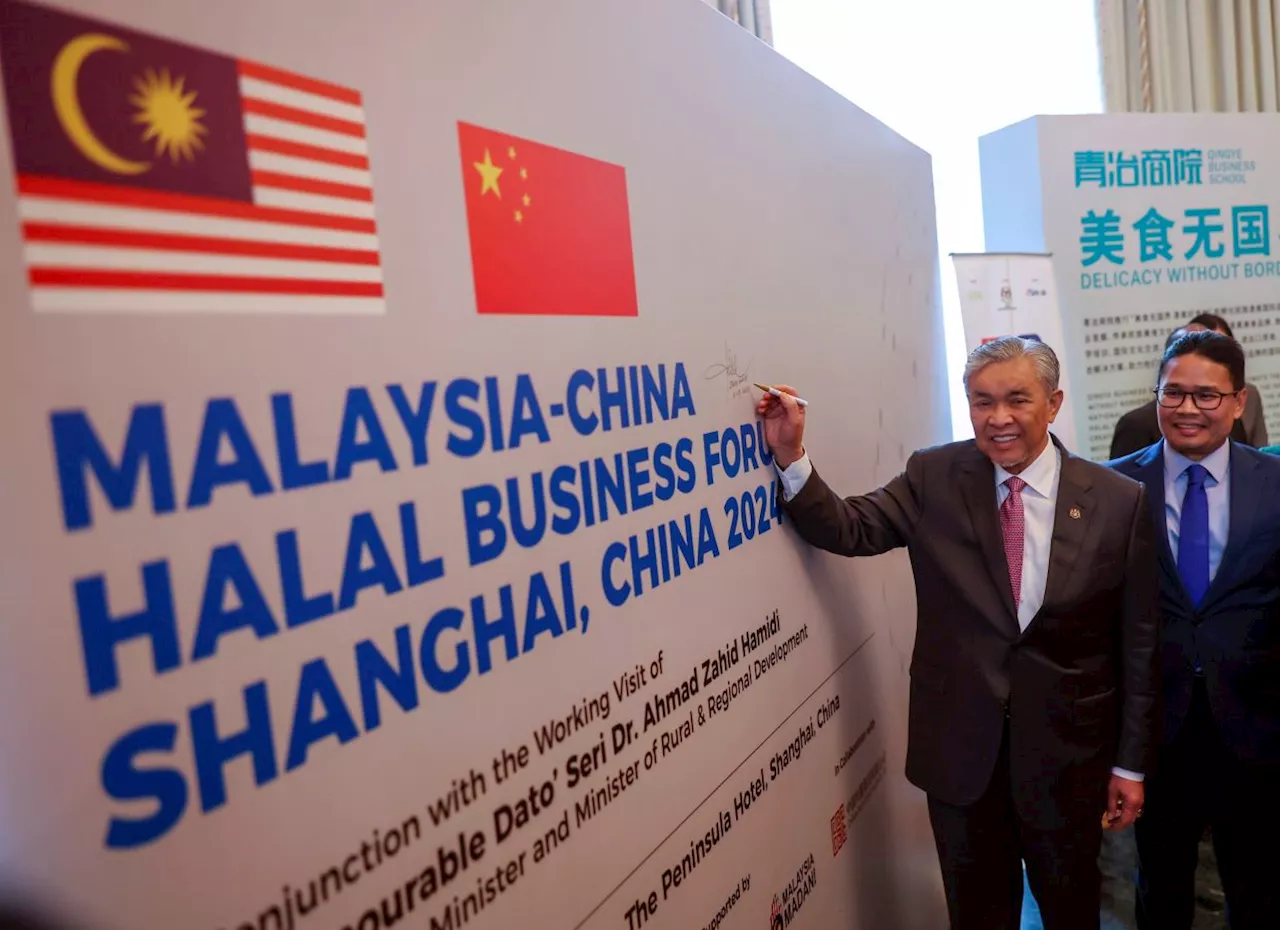 Malaysia, China must tap into halal diplomacy for greater potential, says Zahid