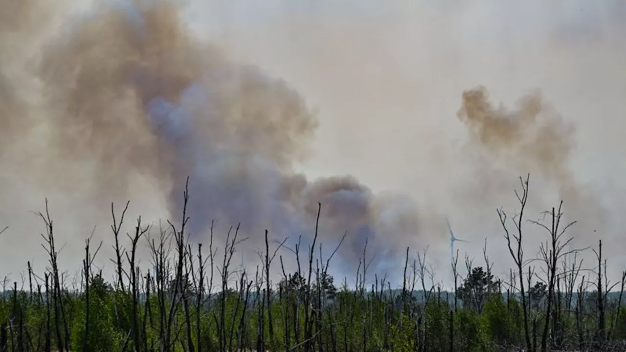 Feuer: Brandenburg erlebt Woche mit den meisten Waldbränden