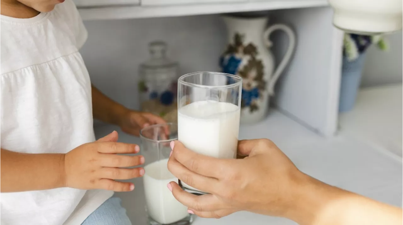 Apa Itu Susu Ikan?, Protein yang Dianggap Lebih Baik dibanding Susu Sapi untuk Program Makan Gratis