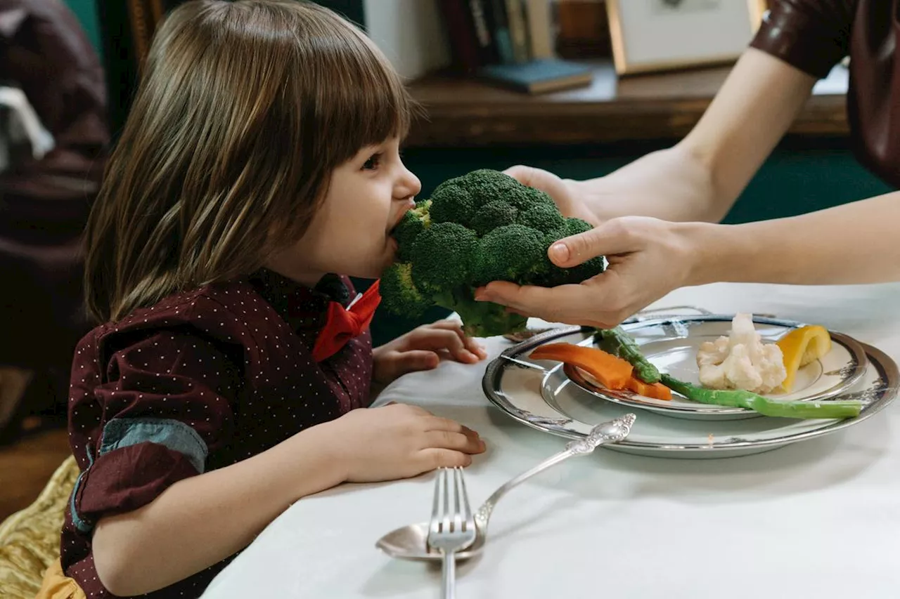 Alimentation : des produits laitiers et des fruits, peu de jus et de viennoiseries, ce que les enfants devraient manger