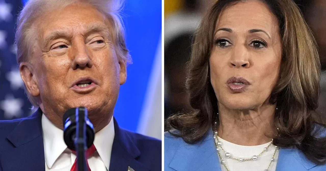 Fem saker att ha koll på i Trump-Harris-debatten