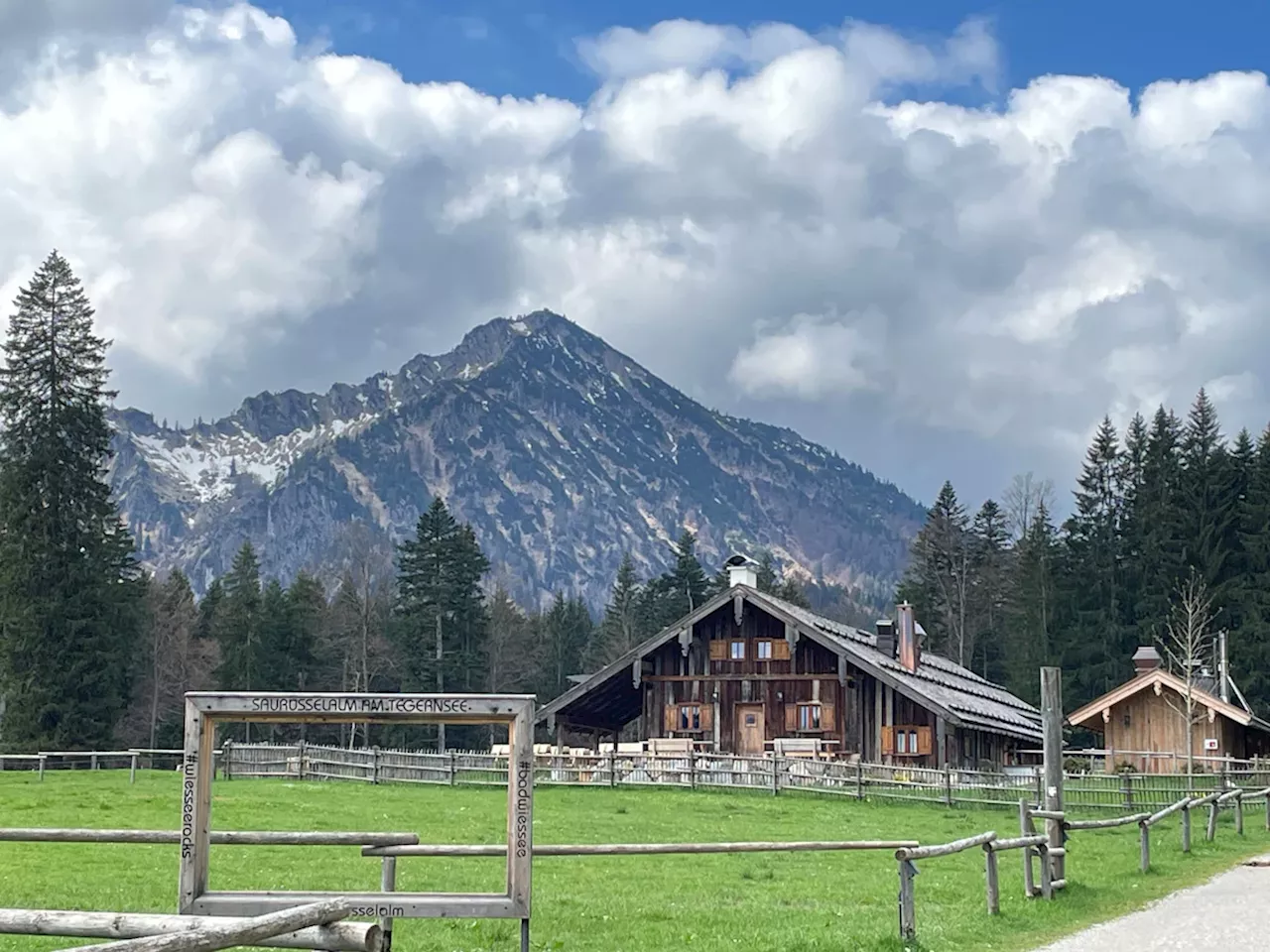 Saurüsselalm im Söllbachtal: Rechtsstreit geht in die nächste Runde