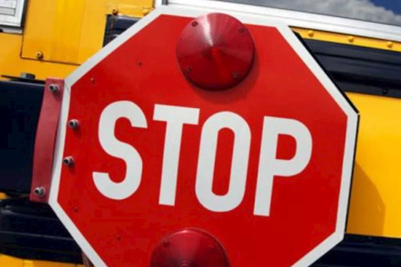 Parent shocked to see drivers blowing past stopped school buses