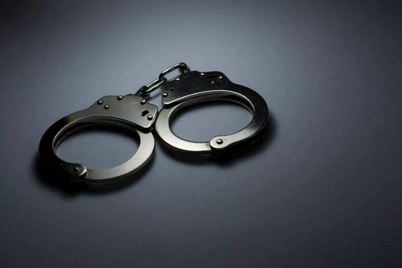 Over 4 000 wrongful arrests registered in one year, claims exceed R2bn