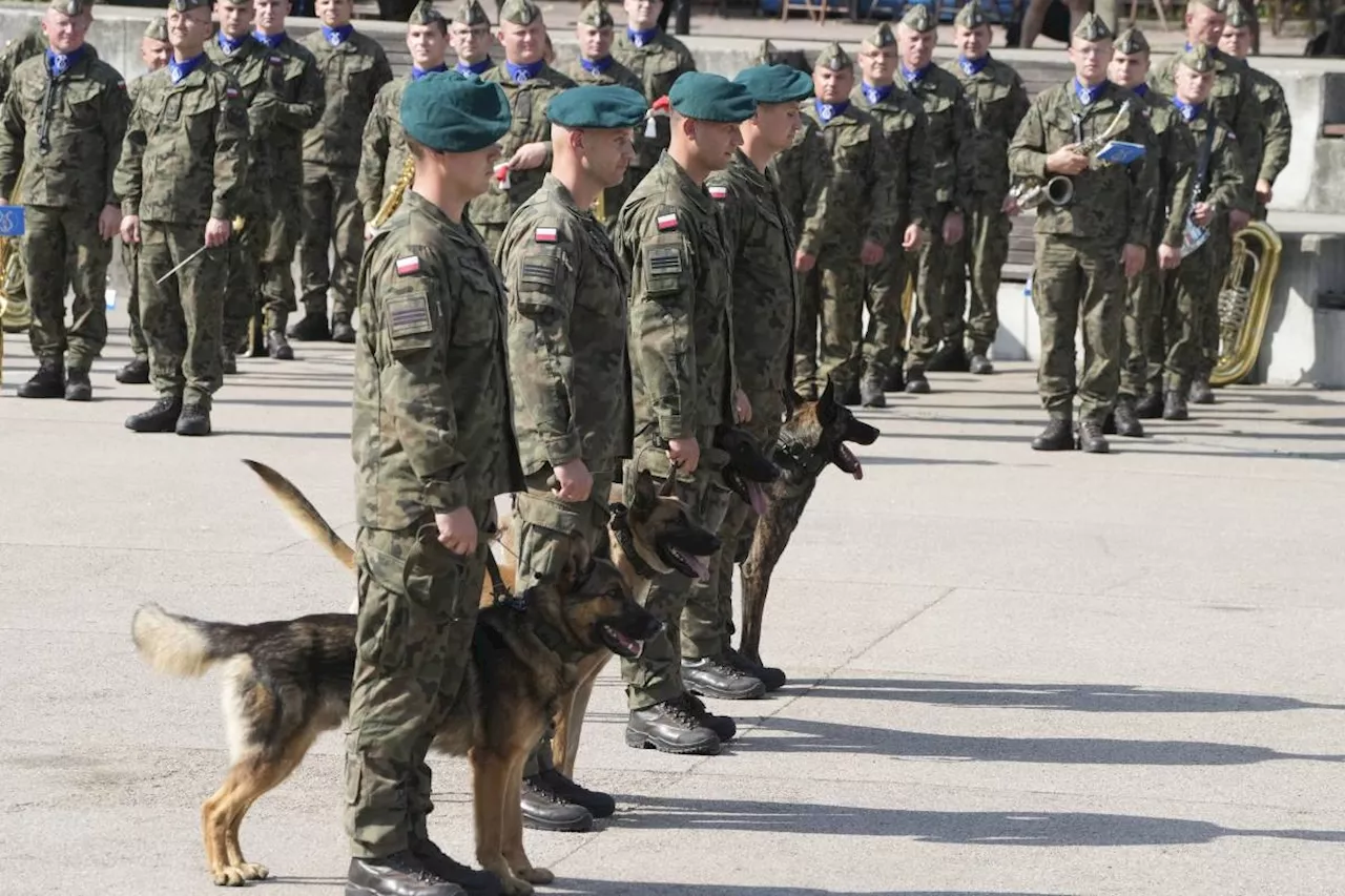 Poland thanks military dogs for service by giving them army ranks