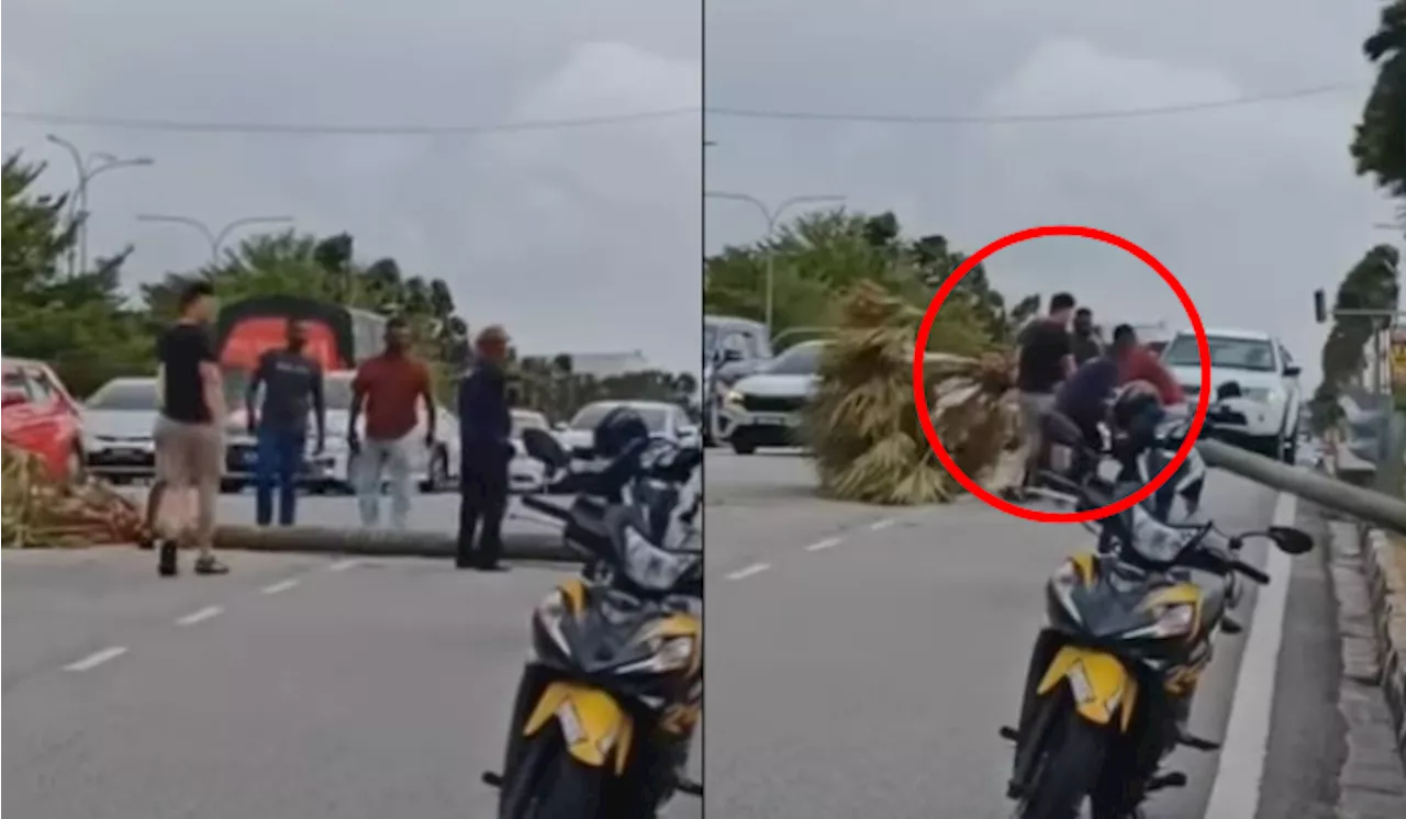 [Video] Pengguna Jalan Raya Tampil Bantu Alihkan Pokok Tumbang Raih Pujian