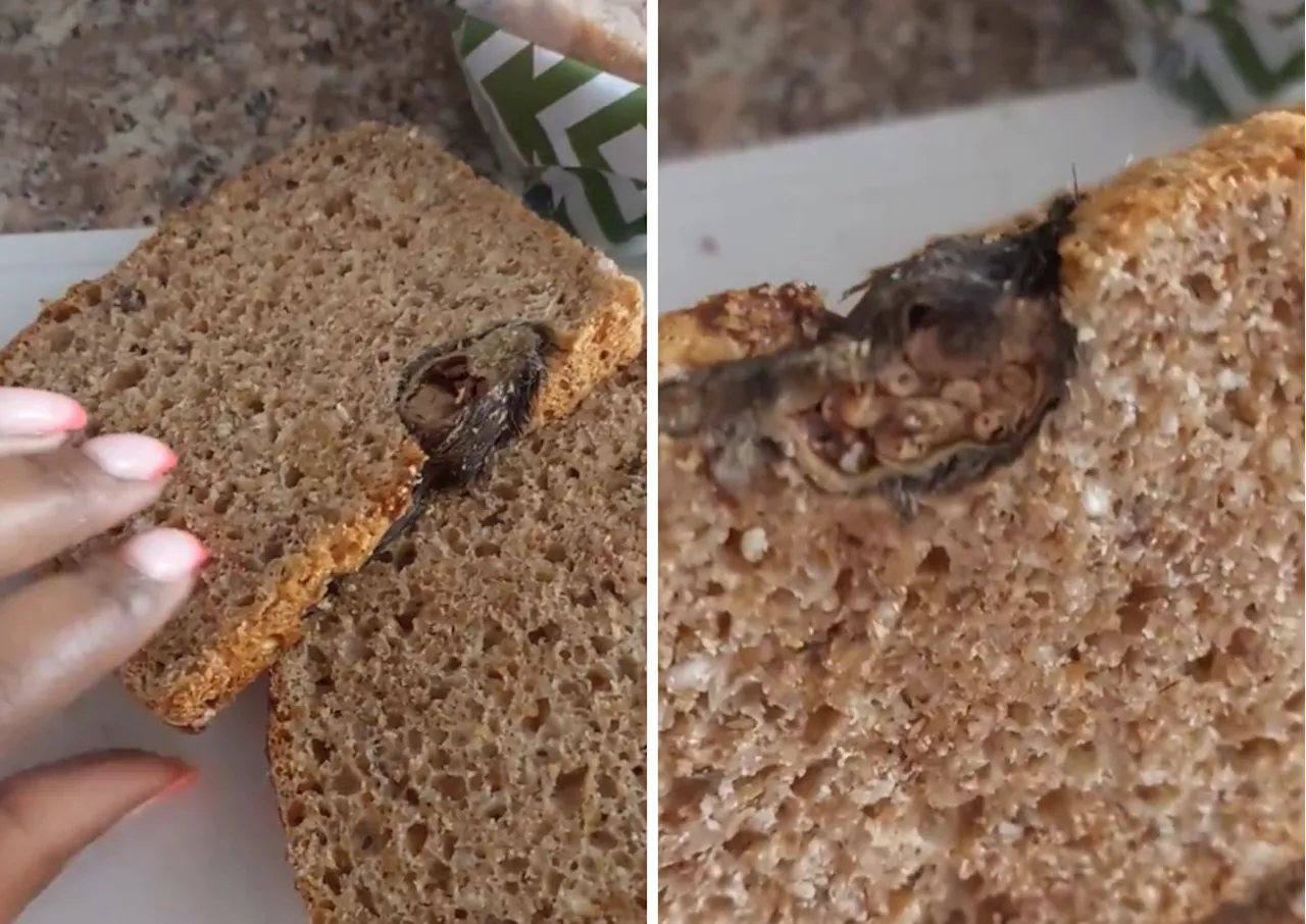 ‘It won’t affect you’: Woman shocked by rat in bread response [video]