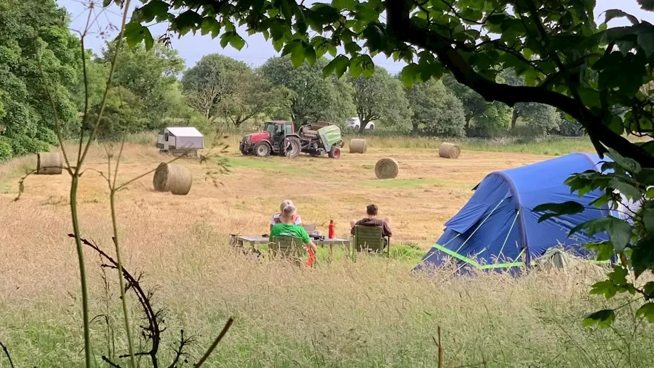 Tiny English campsite is in a secret walled garden – and right next to the UK’s best beach...