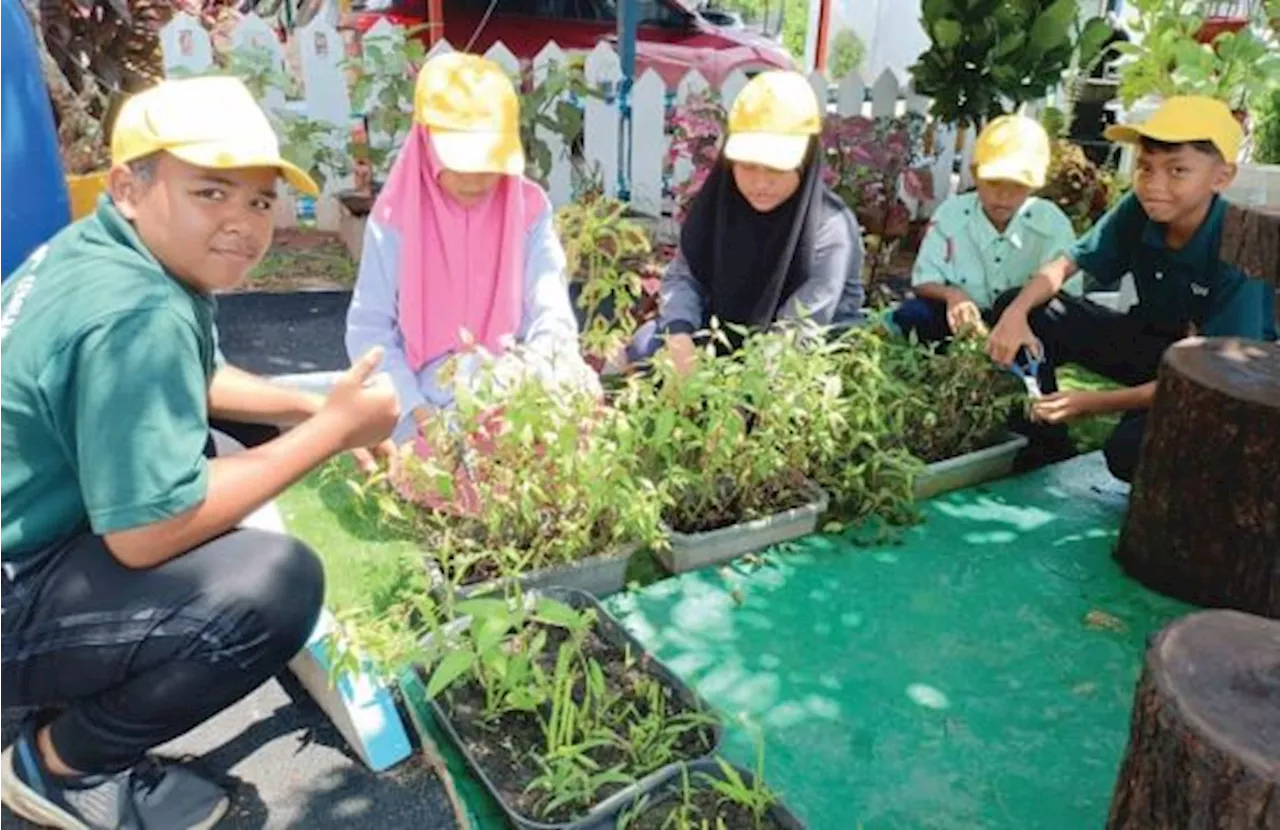 Bimbing murid-murid jadi usahawan tani SKPPPTR ajar kemahiran berkebun