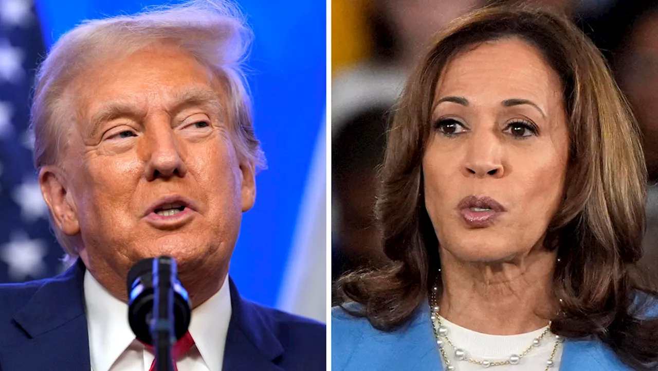 Trump-Harris debate: What is key for each candidate's platform