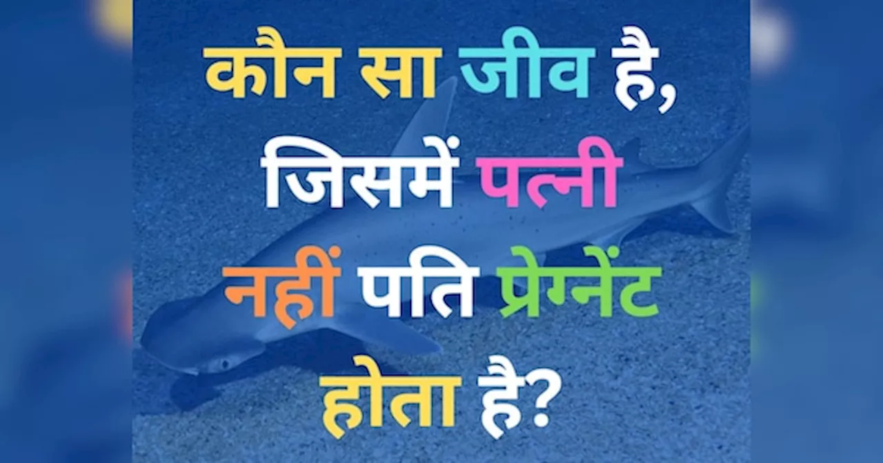 GK Quiz: कौन सा जीव है, जिसमें पत्नी नहीं पति प्रेग्नेंट होता है?