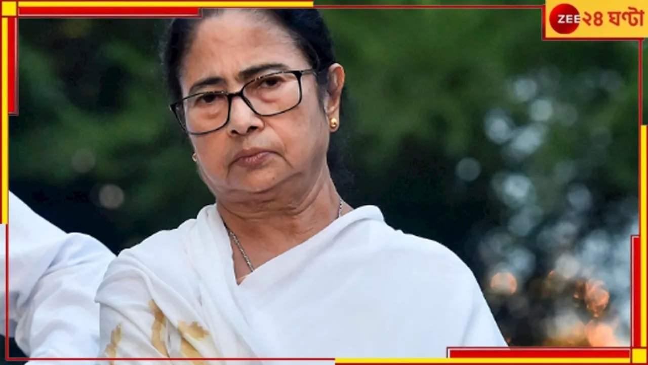 RG Kar Incident| Mamata Banerjee: নবান্নের বার্তা আন্দোলনের জন্য অপমানজনক, তাই সাড়া দিচ্ছি না!