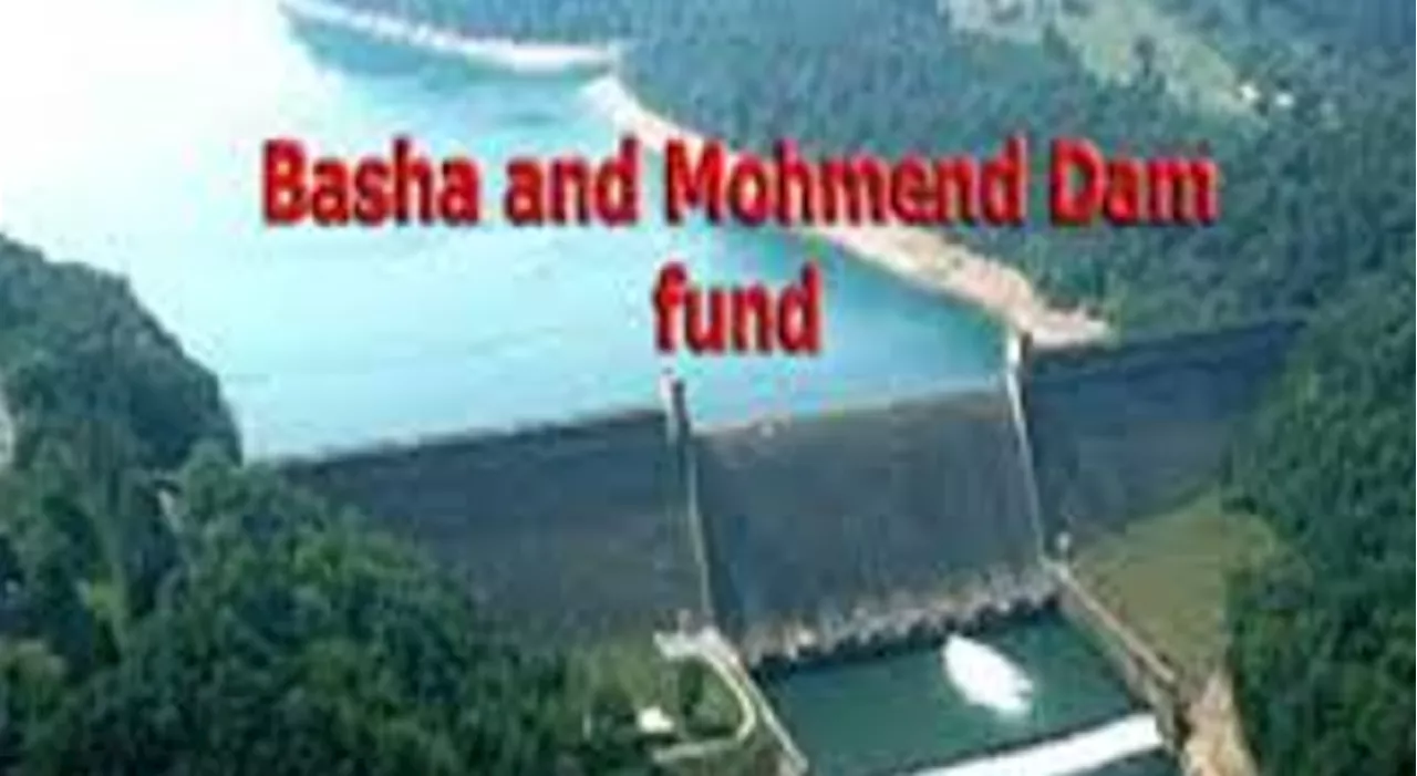 SC asked to release Rs20b Bhasha Dam Fund to govt and Wapda