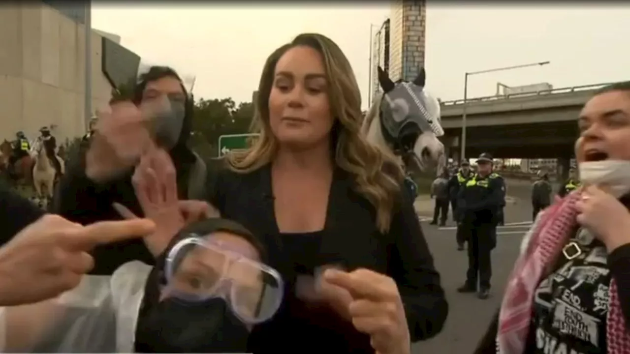 Melbourne protest: 7NEWS reporter Teegan Dolling assaulted live on air as anti-war protest turns ugly