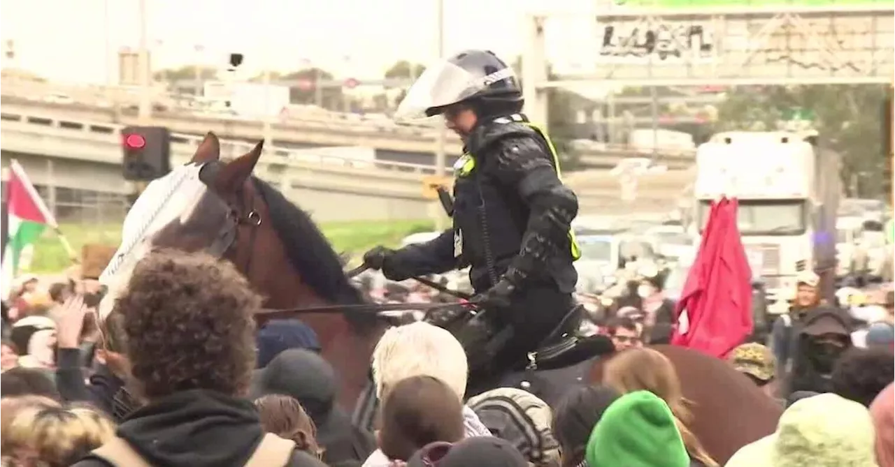 The Greens call for inquiry into 'military-style' tactics used by police