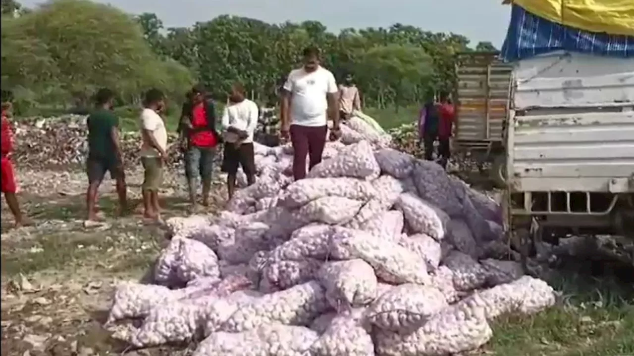 कहीं आपने भी तो नहीं खाया ये वाला लहसुन, लैब में हुई जांच तो 1400 क्विंटल लहसुन में मिला फंगस