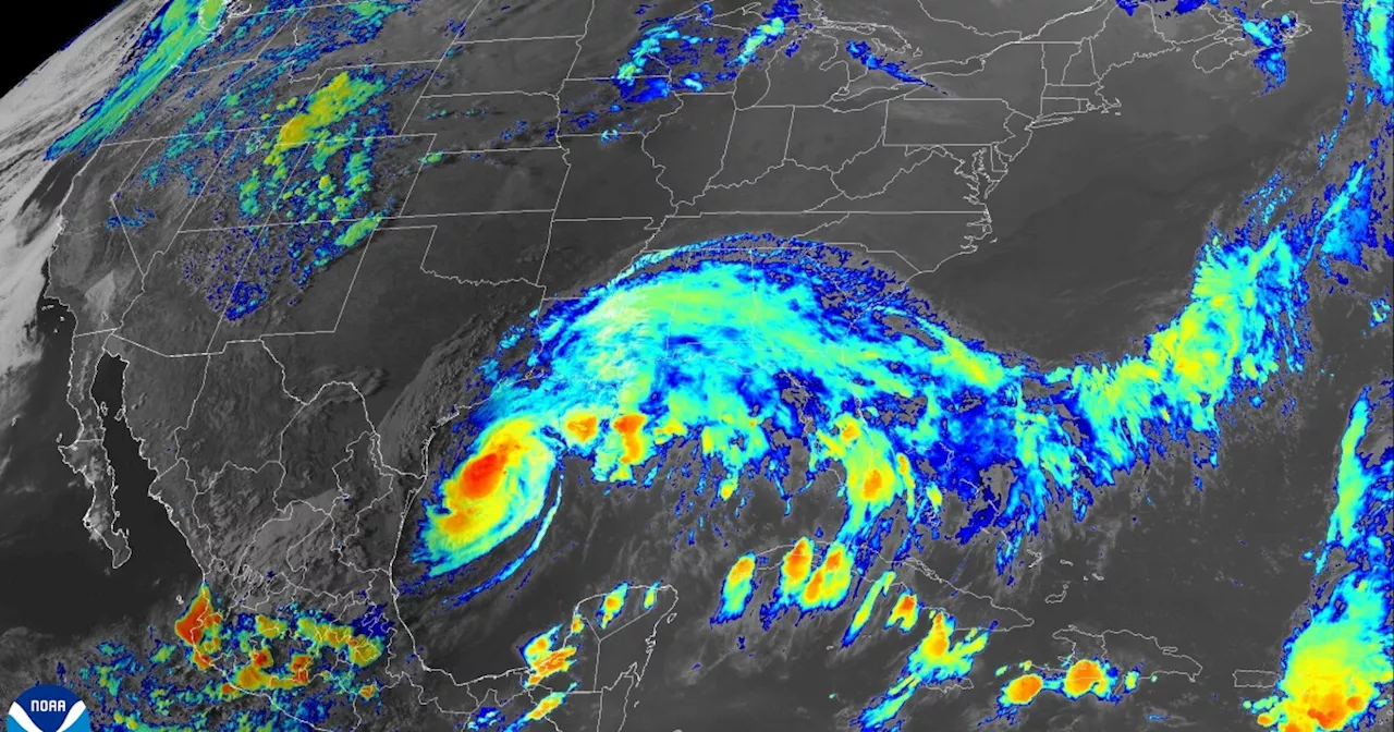 Francine becomes a hurricane in the Gulf of Mexico, prompting hurricane watch in New Orleans