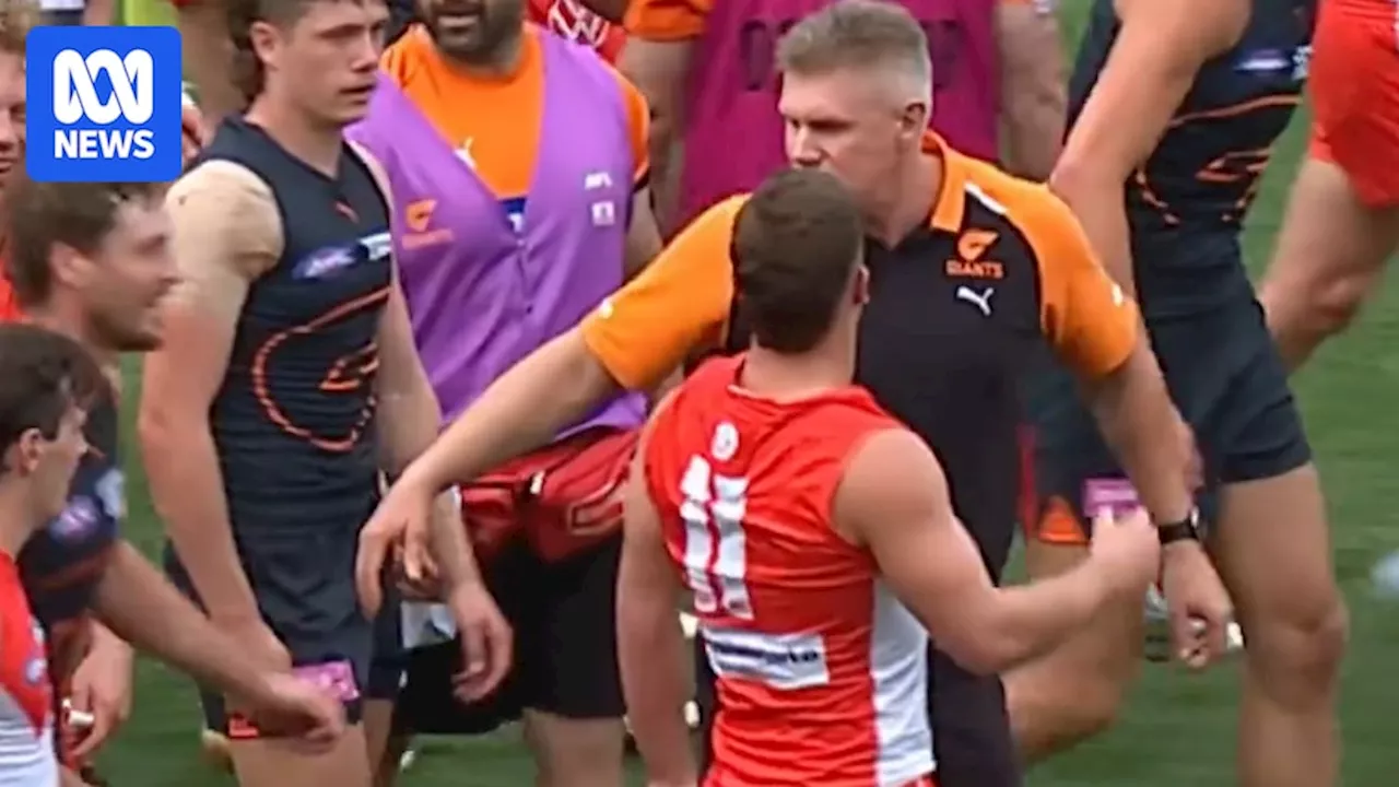 Fining GWS Giants' Jason McCartney over clash with Tom Papley less potent than a ban, says Swans great Paul Roos