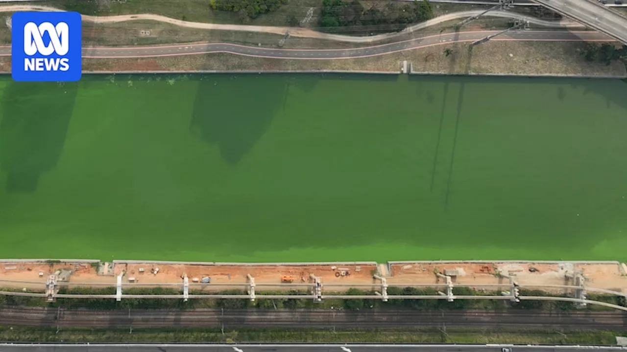 São Paulo river turns emerald green and skies orange-grey amid fires and drought