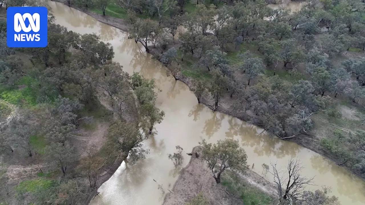 Walgett water testing finds metals, pesticides in Namoi River