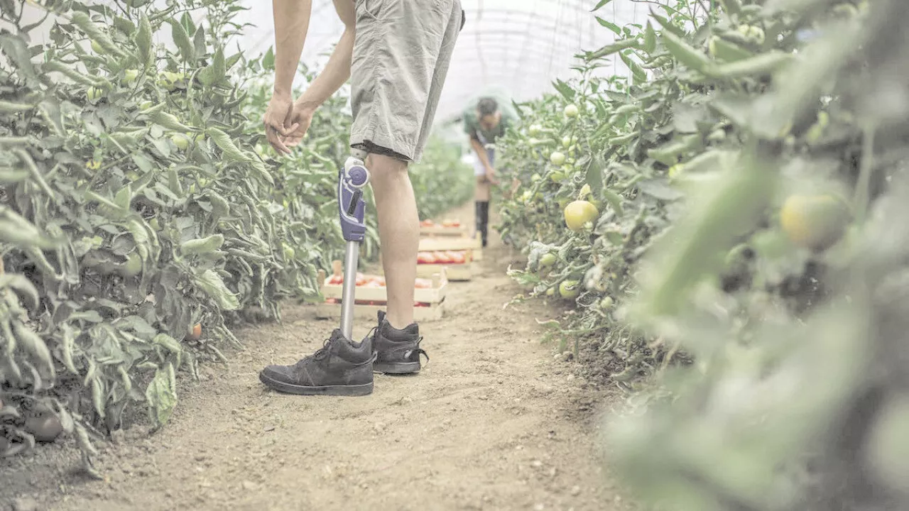 Agriculture et handicap, on en parle jeudi 12 septembre dans le Morbihan