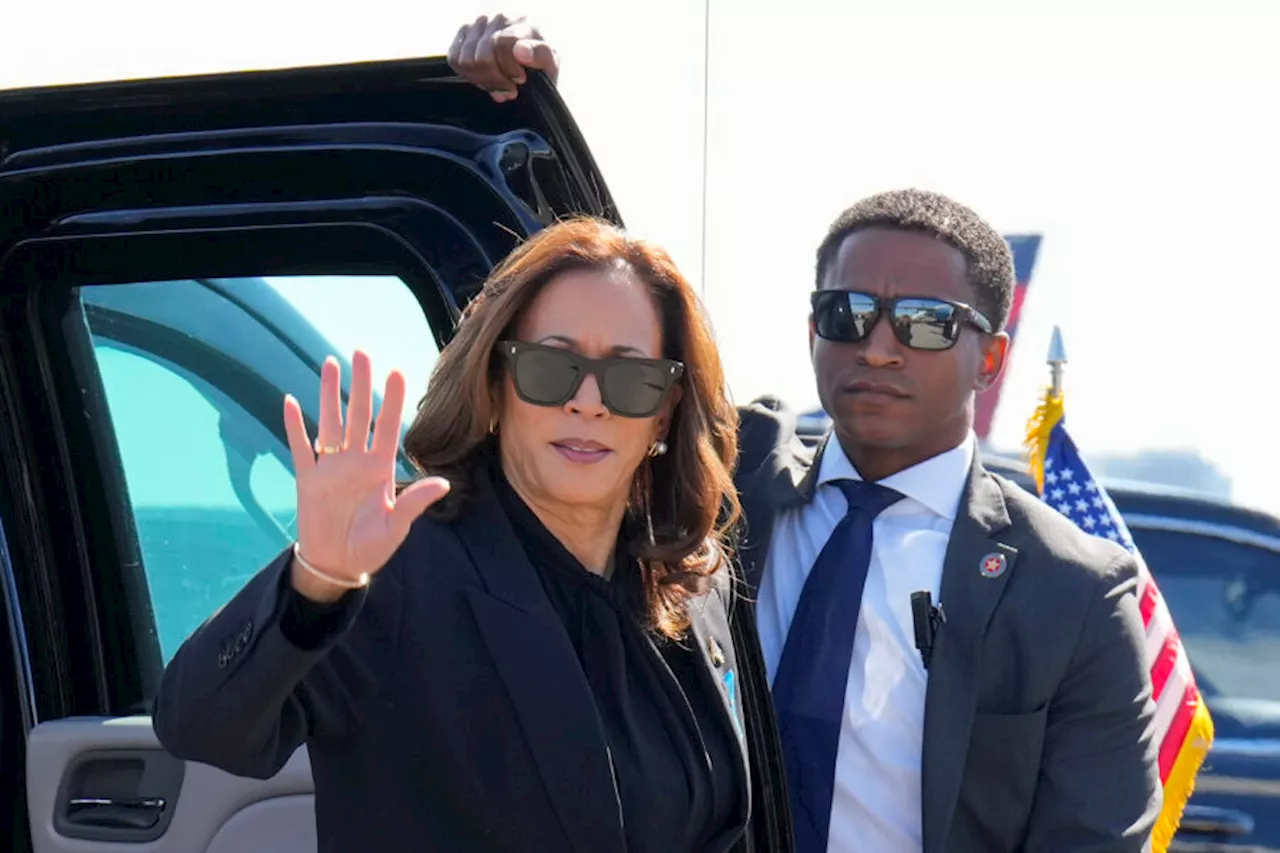 Eländesindex pekar på Kamala Harris som valvinnare