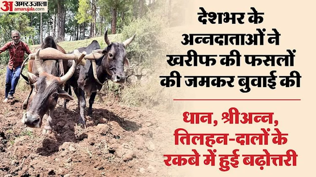 Agriculture: आम आदमी को अक्तूबर-नवंबर में मिल सकती है महंगाई से राहत!,दाल-चावल के रेट में आ सकती है गिरावट