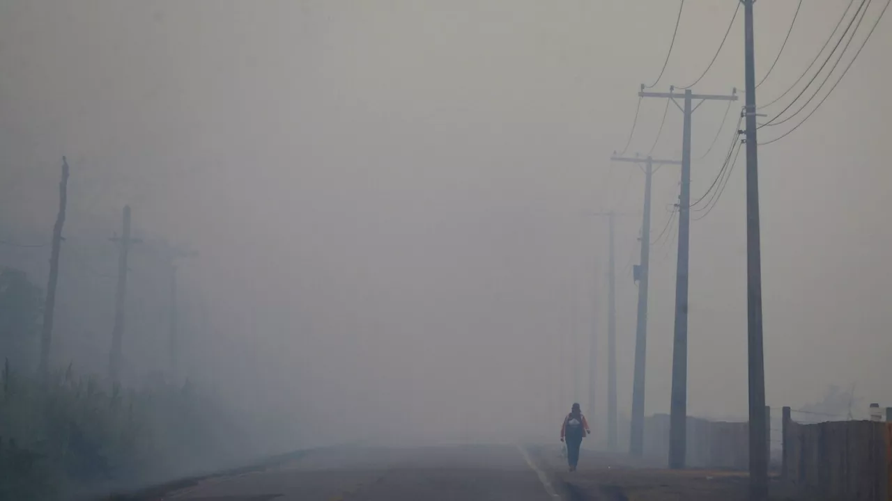 Brazil's Lula pledges to finish paving road that experts say could worsen Amazon deforestation