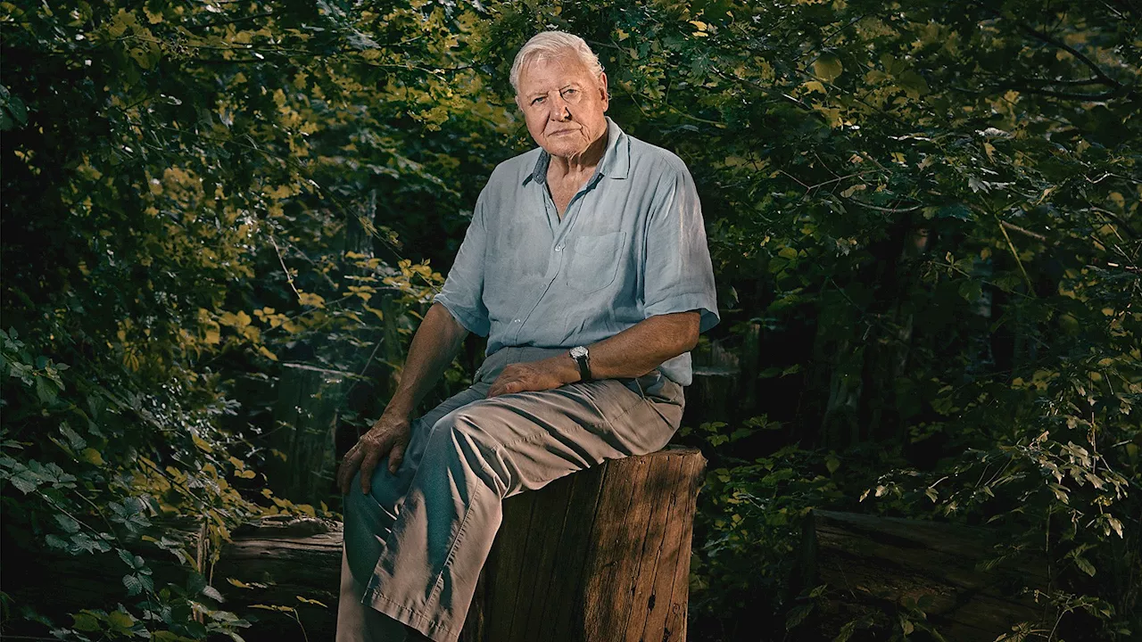 Sir David Attenborough to present Asia on BBC One and iPlayer