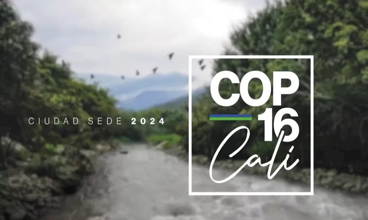 Colombia anuncia tres metas que presentará en la COP16 para proteger la Biodiversidad