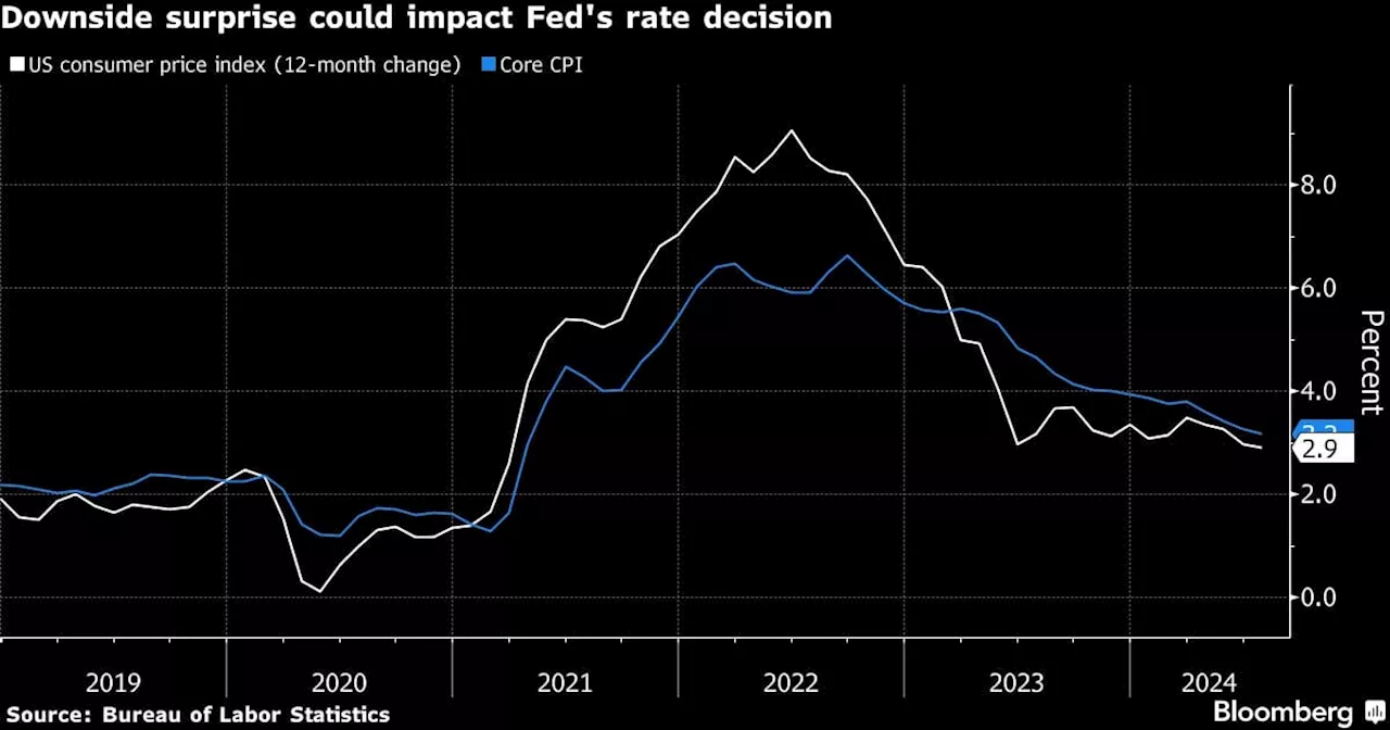 US CPI to Show Another Muted Rise as Fed Debates Rate-Cut Size