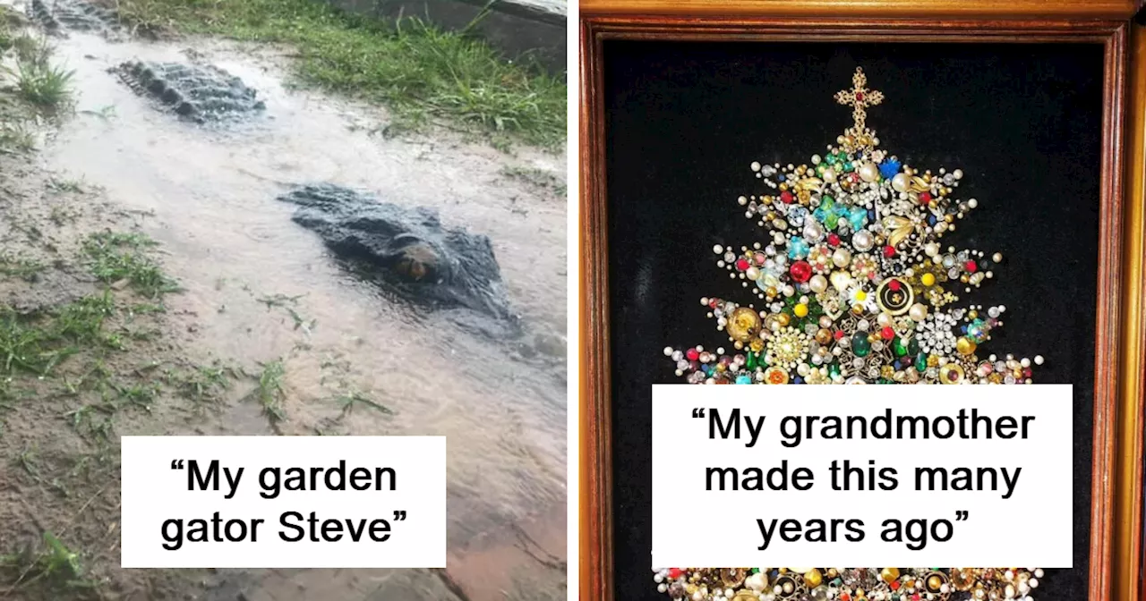 50 Times People Found The Most Amazing Things While Shopping Secondhand