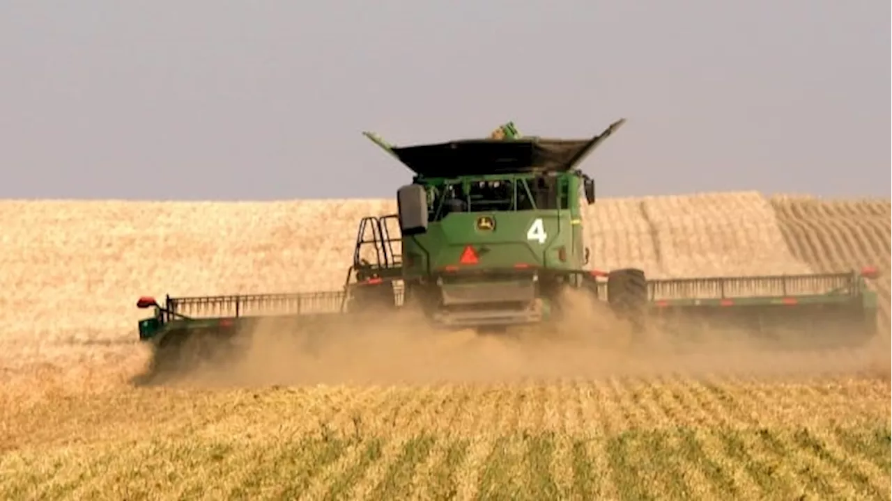 Alberta farmers ahead of schedule on harvest, but remain on knife's edge of drought