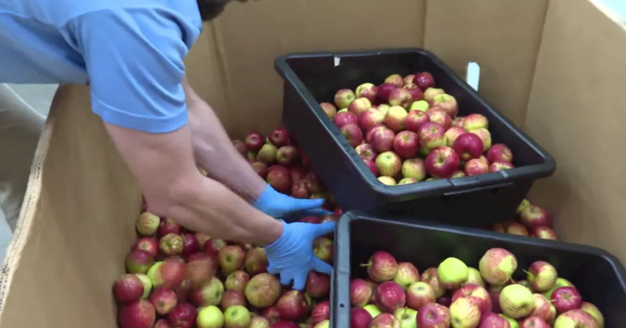 Chicago area food banks hard at work on Hunger Action Day