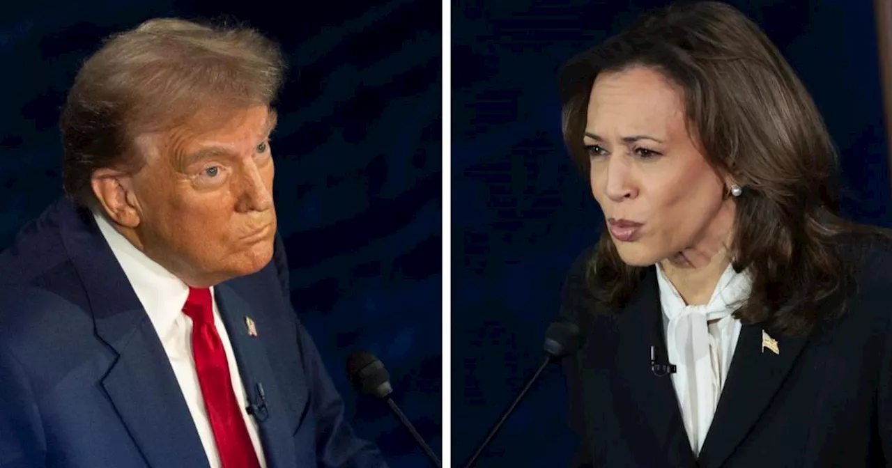 Russia responds to Kamala Harris-Donald Trump debate: 'Leave our president alone'