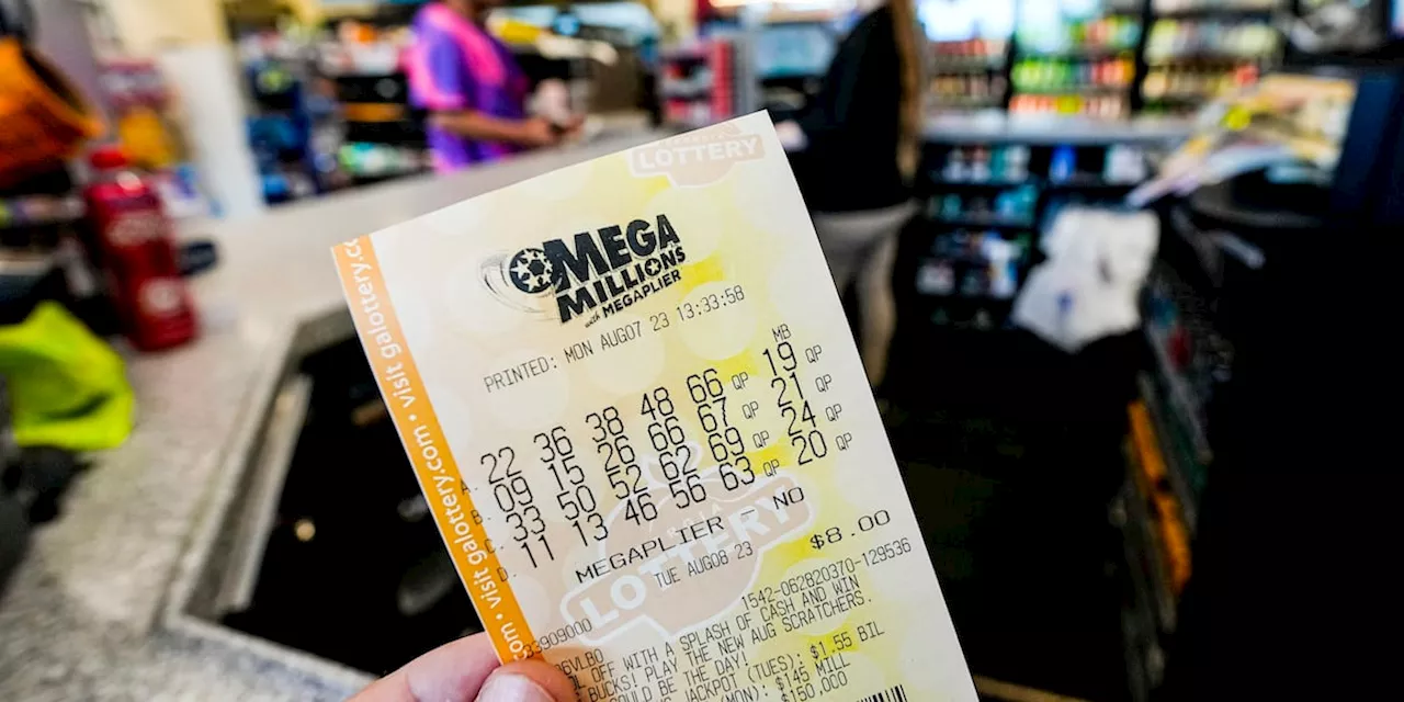 Single ticket wins $800 million Mega Millions jackpot