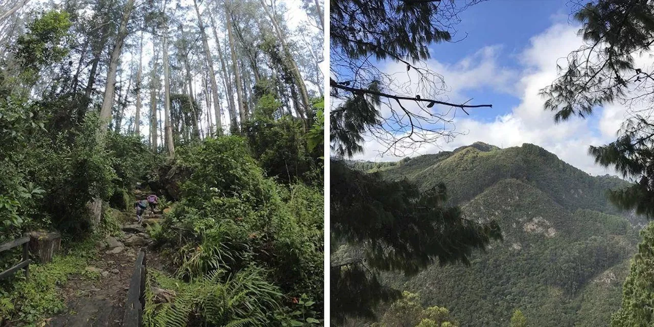 Ordenan a Minambiente reglamentar ecosistemas comunes bajo varias autoridades