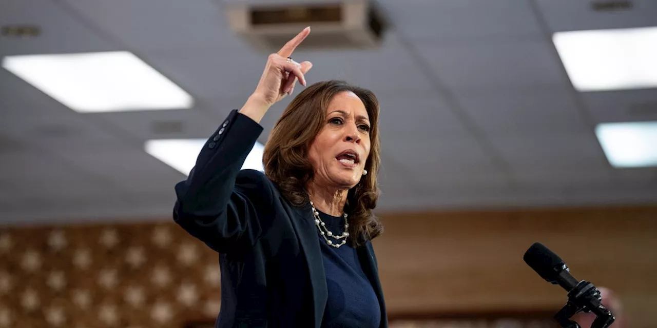 Harris Urged to 'Absolutely Go After Trump for Being in the Pocket of Big Oil'