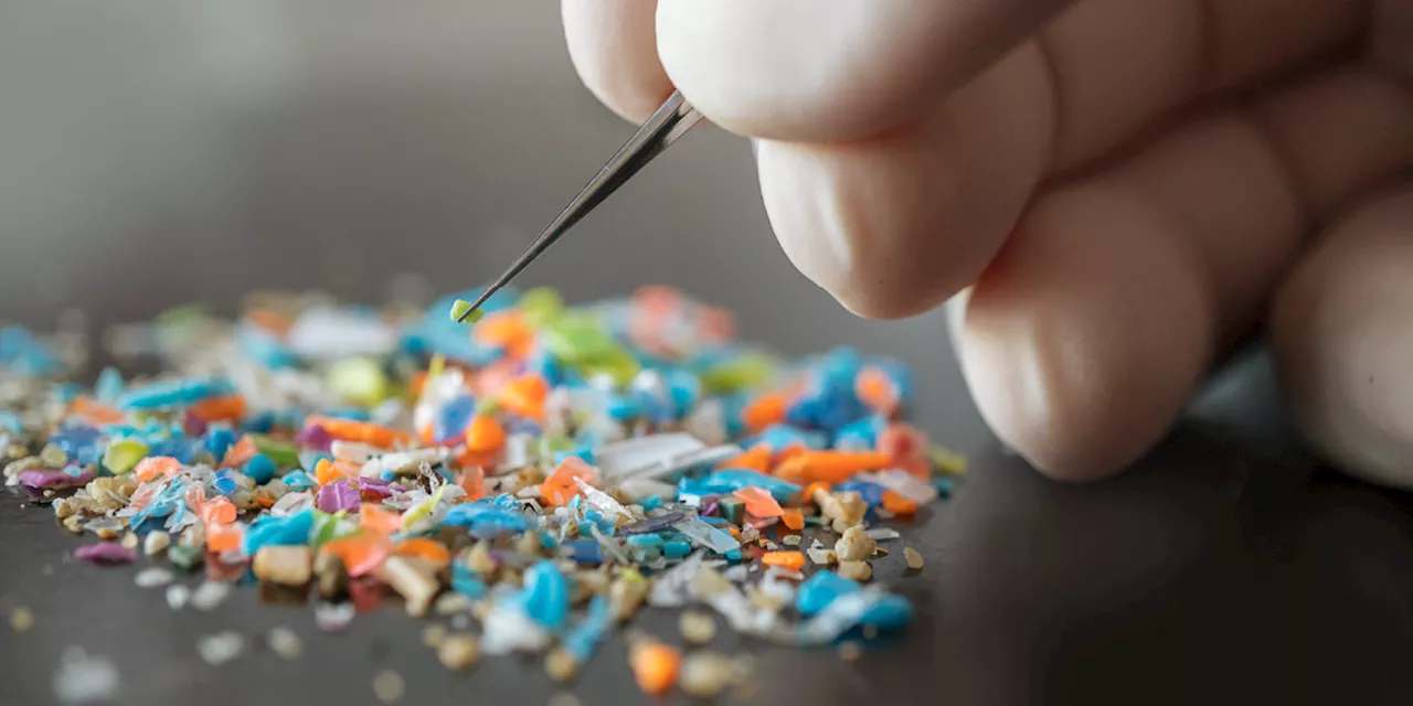 Why Is the FDA Downplaying the Risk of Microplastics From Food Packaging?