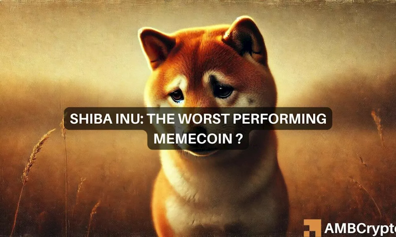 Analyzing Shiba Inu’s downward spiral in 2024