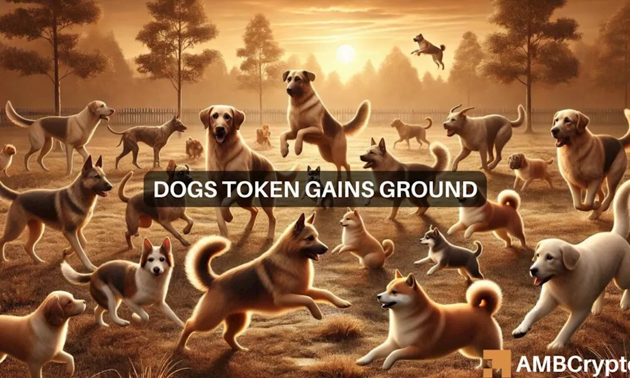 DOGS token’s rapid ascent: What the holder count tells us