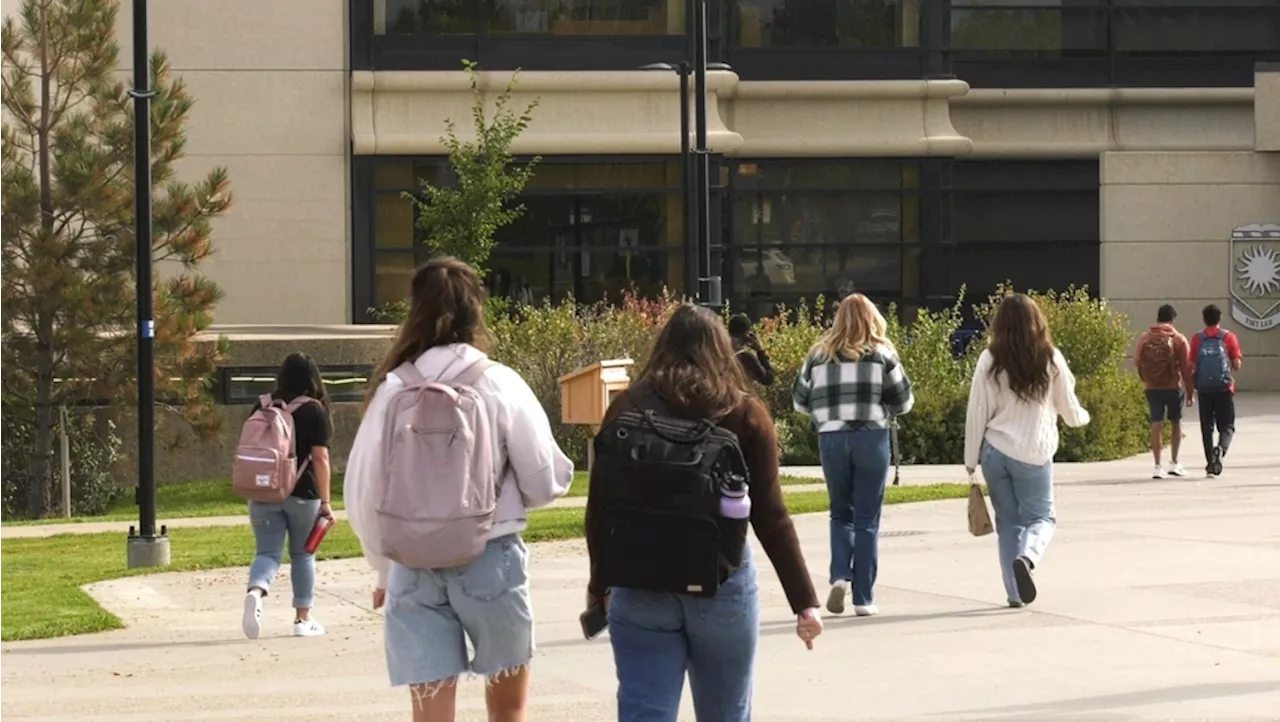 Lethbridge students struggling to find jobs through the school year