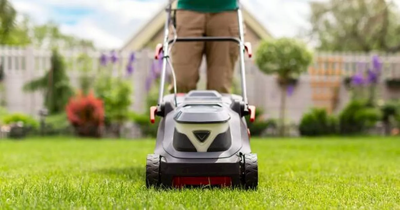 Exact temperature to 'stop' mowing your lawn to avoid damage